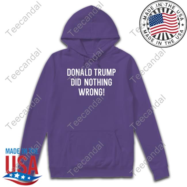 Loomer Donald Trump Did Nothing Wrong Tee Shirt