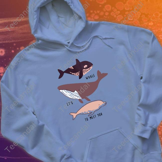 Whale It's To Meet You Hooded Sweatshirt