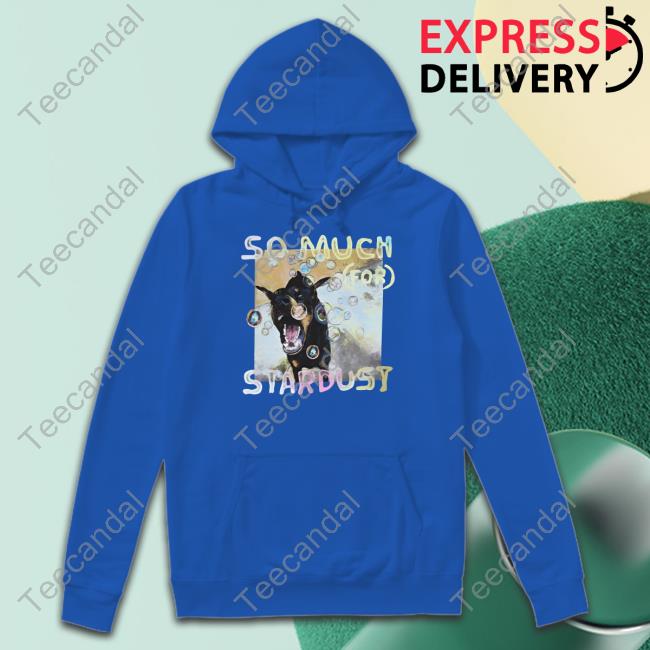 Fall Out Boy So Much (For) Stardust Album Cover Hoodie