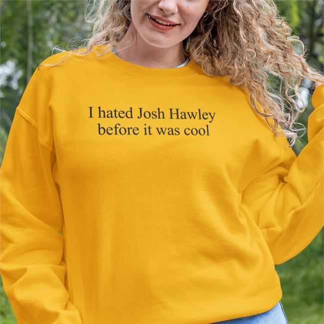 I Hated Josh Hawley Before It Was Cool Hoodie