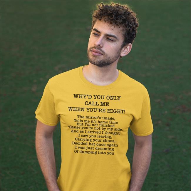 Why'd You Only Call Me When You're High Hoodie Translatedtees