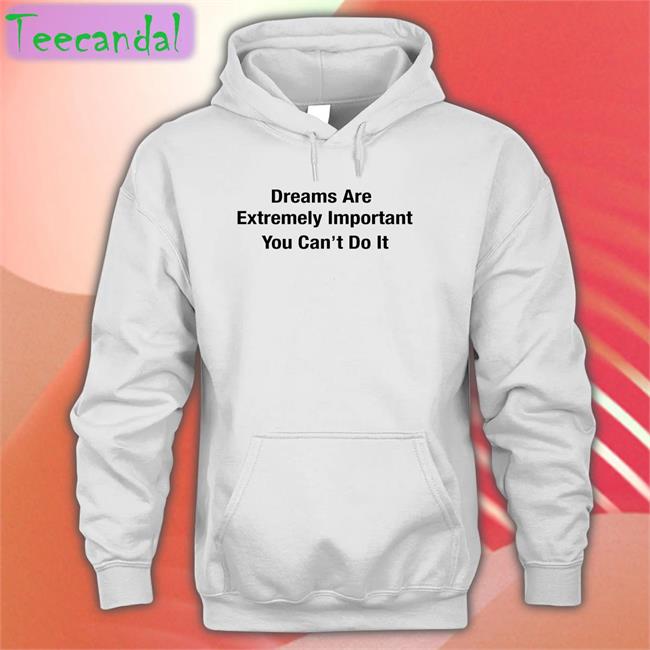 Dreams Are Extremely Important You Can't Do It Sweatshirt Poorly Translated Shirts