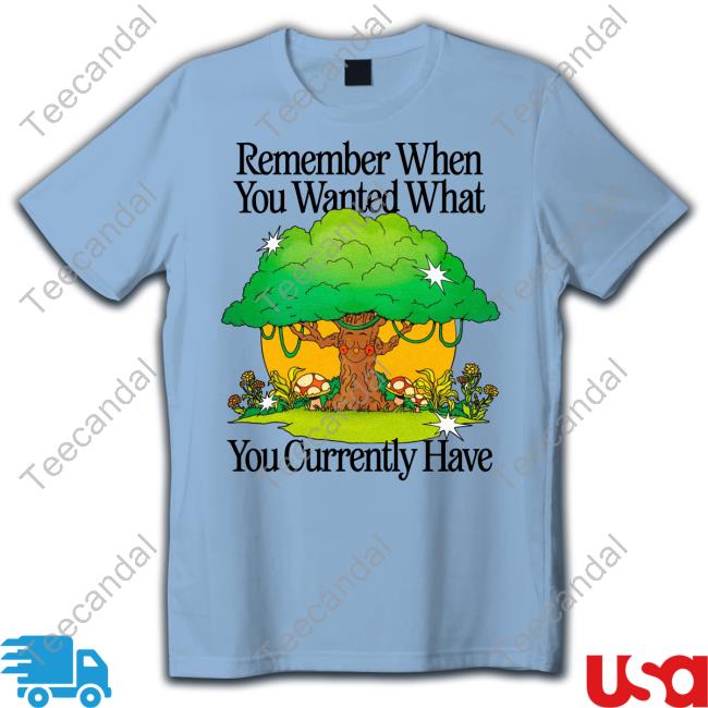Remember When You Wanted What You Currently Have Hoodie Madebynelson