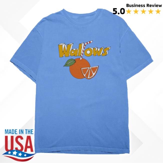 Original Wallows Orange Juice Hoodie Sweatshirt Wallows Music Shop