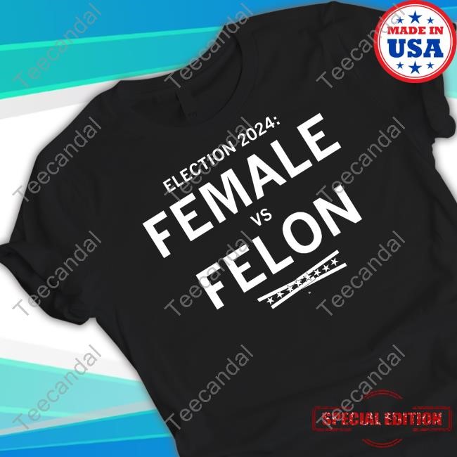 Raygunsite Election 2024 Female Vs Felon Sweatshirt