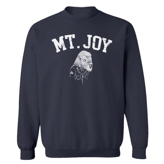 Mt Joy Merch Store Shop Bison Shirts
