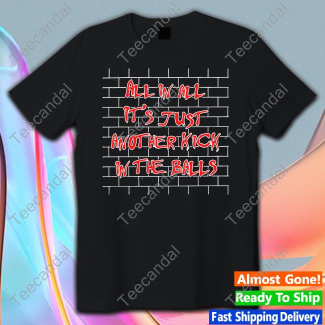 Shirts That Go Hard All In All It's Just Another Kick In The Balls Shirt