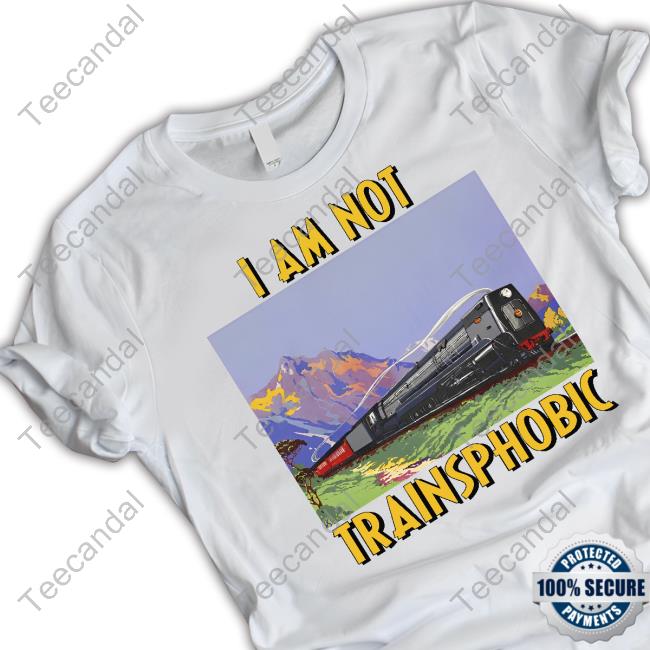 I Am Not Trainsphobic Hooded Sweatshirt