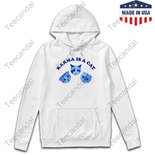 Taylorswift Karma Is A Cat Hoodie