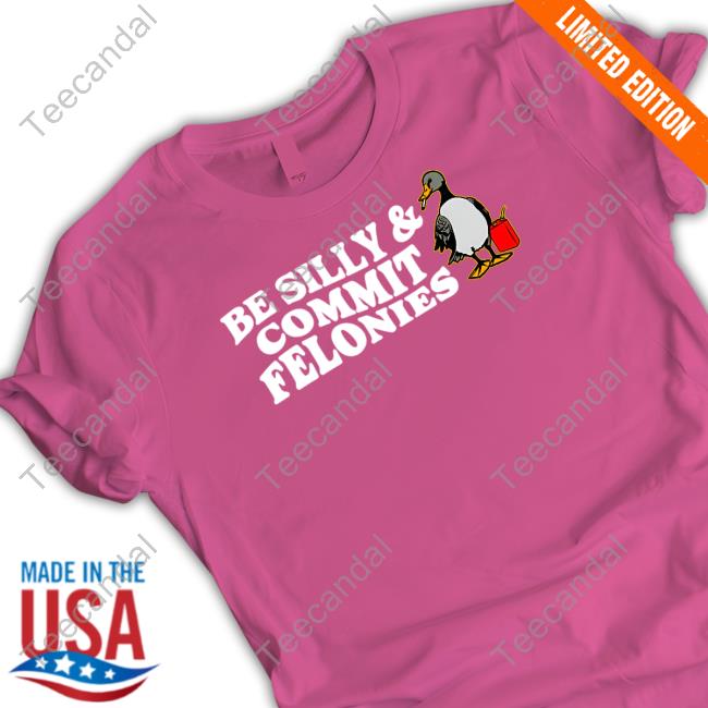 Shithead Steve Store Be Silly, Commit Felonies Hooded Sweatshirt
