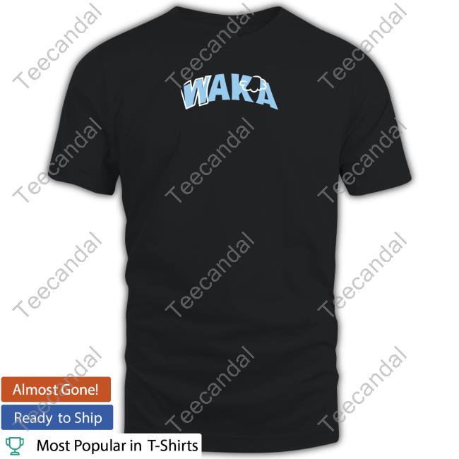 Waka Tour Part 2 Washed Hoodie