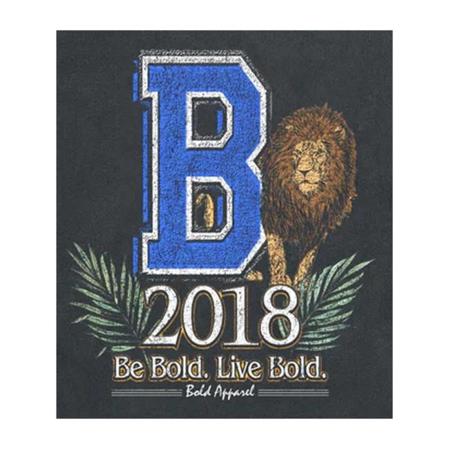 Bold Apparel Store Bold Lion Sweatshirt