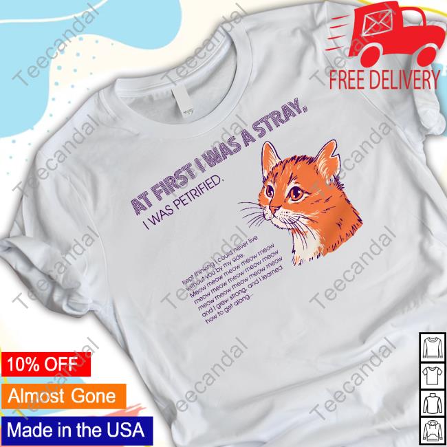 Strange Ways At First I Was A Stray Cat Tee Shirt