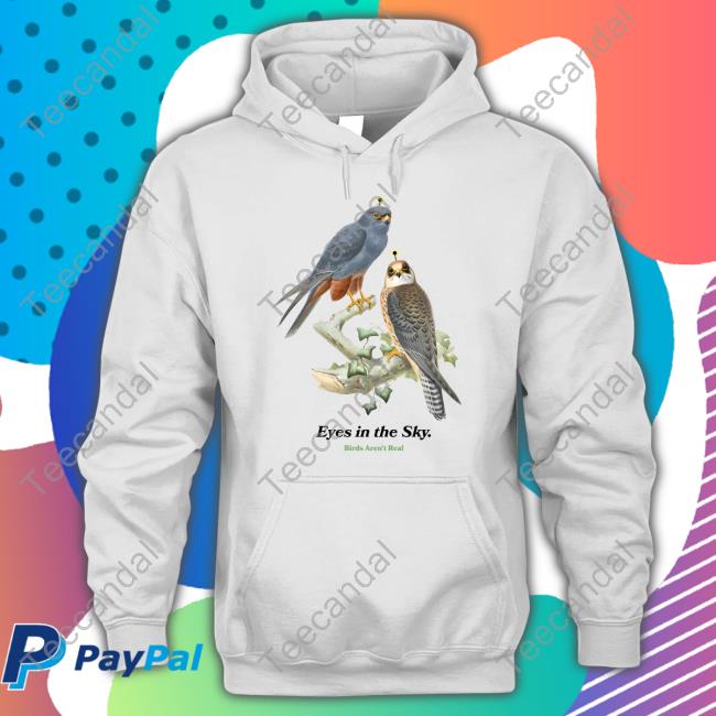 Eyes In The Sky Birds Aren't Real Tee Shirt