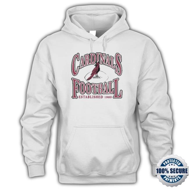 Arizona Cardinals Fanatics Branded Playability Hoodie