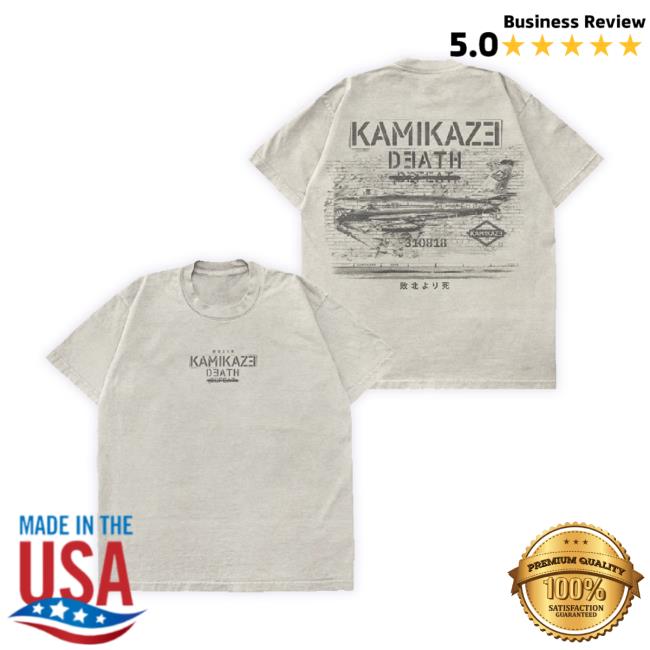 Official Eminem Merch Store Eminem Kamikaze Propaganda Hoodie Sweatshirt Eminem Shop