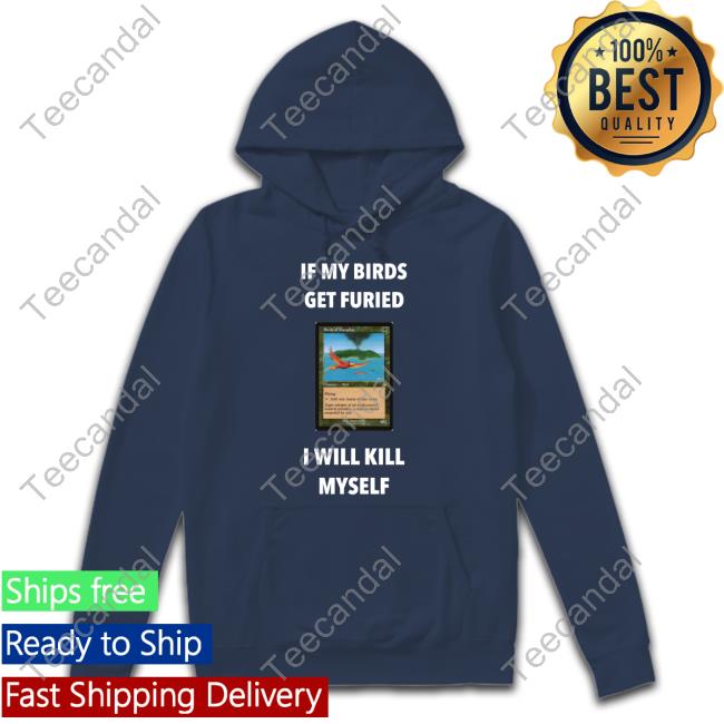 Aaron Mindt If My Birds Get Furied I Will Kill Myself Sweatshirt