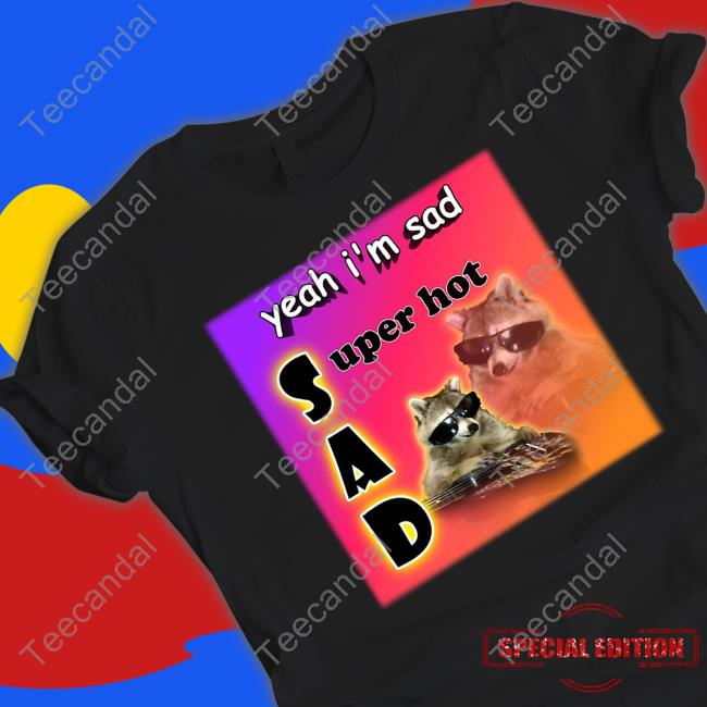 Snazzy Seagull Design Yeah I'm Sad Super Hot Cool Raccoon Word Hoodie