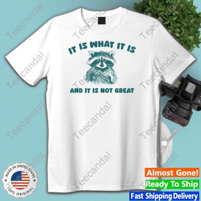 It Is What It Is And It Is Not Great Raccoon Tank Top Sillycityco