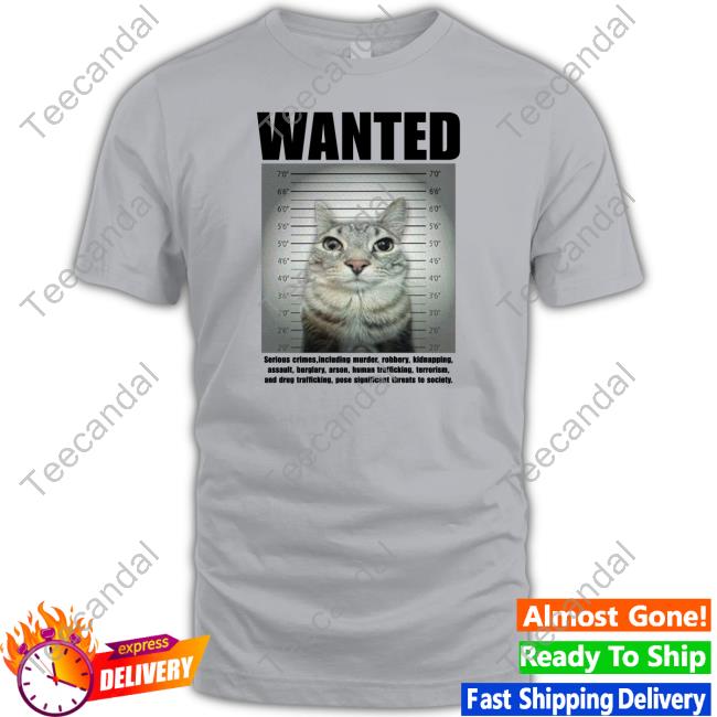 Official Wanted Serious Crimes T Shirt Goofyahhtees