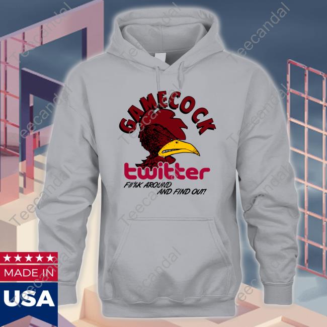 Gamecock Twitter Fuck Around And Find Out Hoodie Gamecock Twitter Fuck Around And Find Out Hoodie Bull Ward