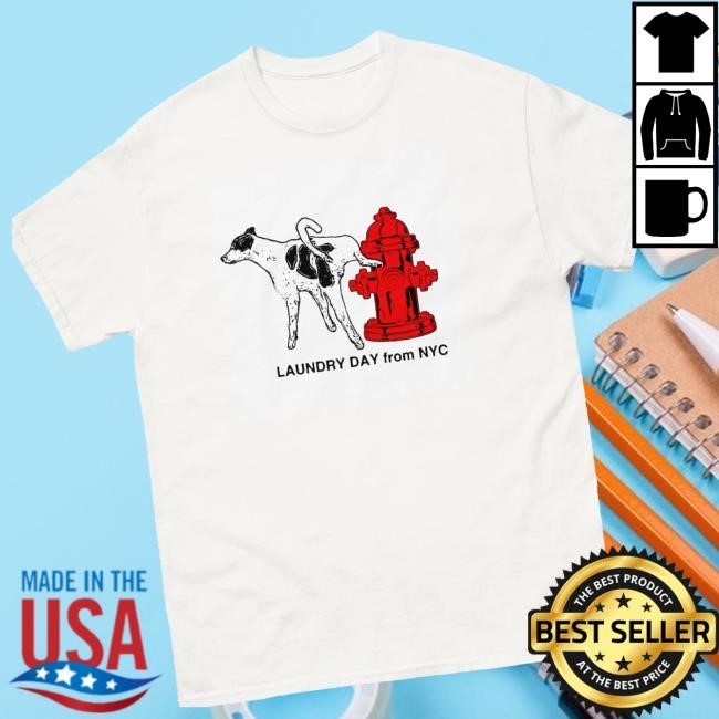 Daundrylay Merch Hydrant Laundry Day From Nyc Tee Shirt