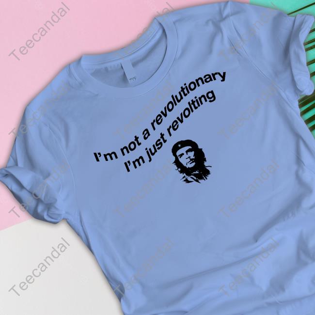 I'm Not A Revolutionary I'm Just Revolting Hoodie