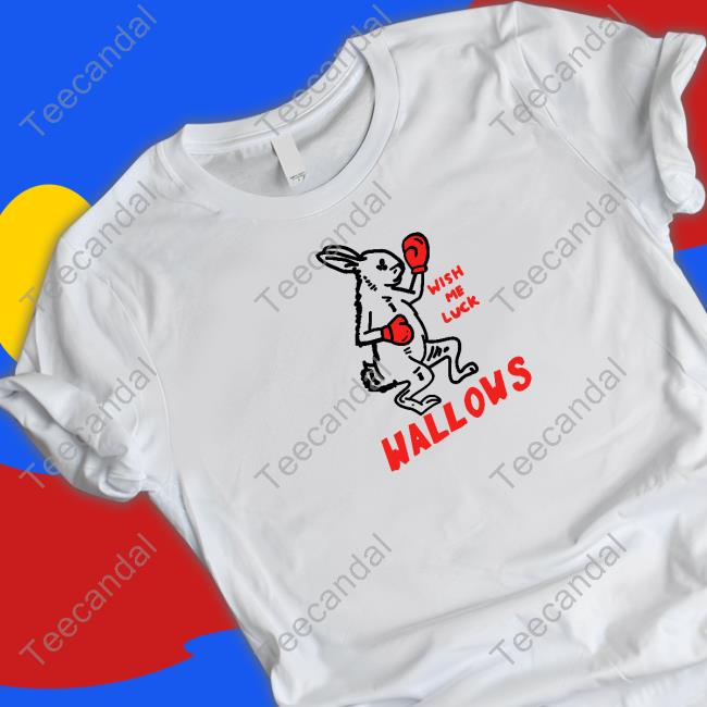 Wallows Wish Me Luck Tee Shirt
