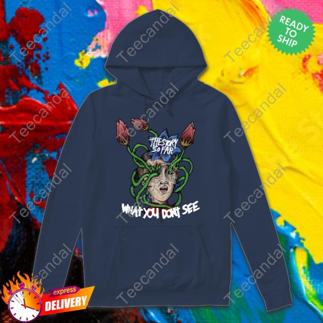 Pure Noise Merch The Story So Far What You Dont See Long Sleeve Tee Shirt