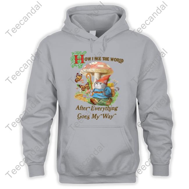 How I See The World After Everything Goes My Way T-Shirt, Hoodie, Tank Top, Sweater And Long Sleeve T-Shirt