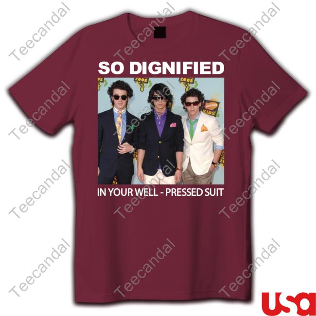 Jonas Brothers So Dignified In Your Well-Pressed Suit Hoodie