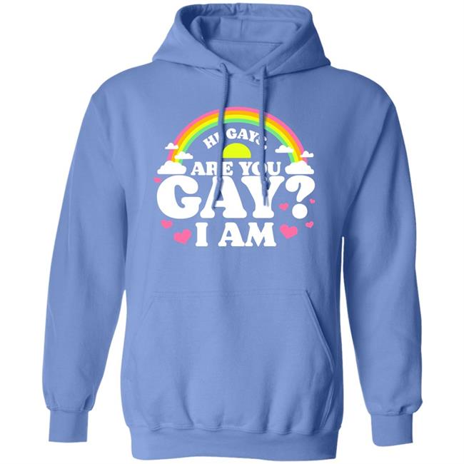 Hi Gays Are You Gay I Am Hoodie Chrissy Chlapecka Are You Gay? Shirt