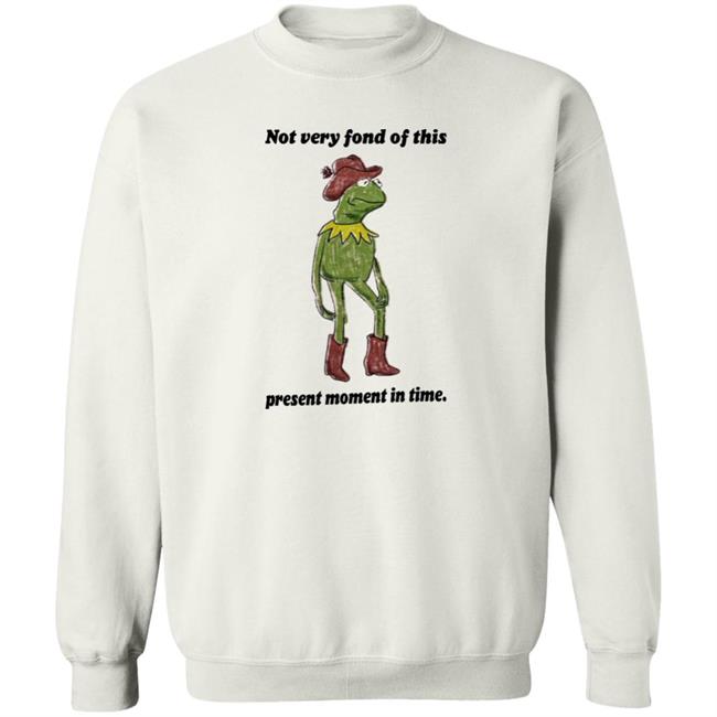 Scarlet Petalsfordraco Not Very Fond Of This Present Moment In Time Shirt