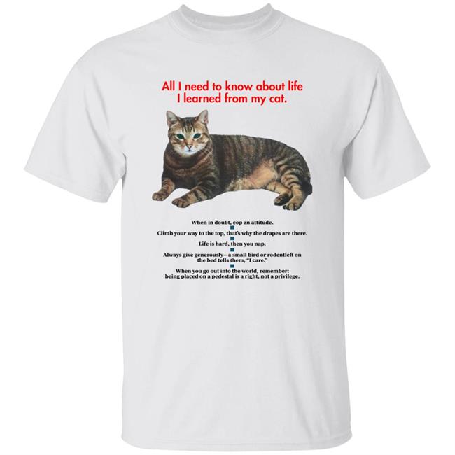 All I Need To Know About Life I Learned From My Cat Shirt Attic Merch All I Need To Know About Life I Learned From My Cat Shirt Hoodie Sweatshirt