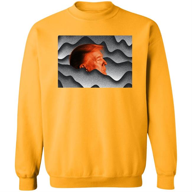 Trump's Unreality Check T Shirt Hoodie Sweatshirt Trump's Unreality Check T Shirt Hoodie Sweatshirt