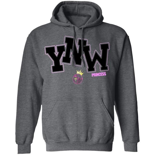 Ynw Embroidered Princess Hoodie 100 Gecs Thehyv 100 Gecs Thehyv Merch Ynw Embroidered Princess Hoodie 100 Gecs Thehyv 100 Gecs Thehyv Merch