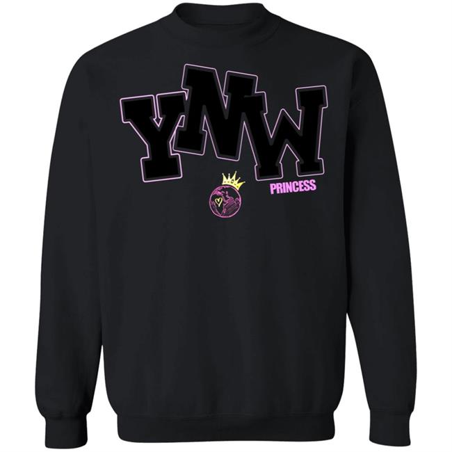 Ynw Embroidered Princess Hoodie 100 Gecs Thehyv 100 Gecs Thehyv Merch Ynw Embroidered Princess Hoodie 100 Gecs Thehyv 100 Gecs Thehyv Merch