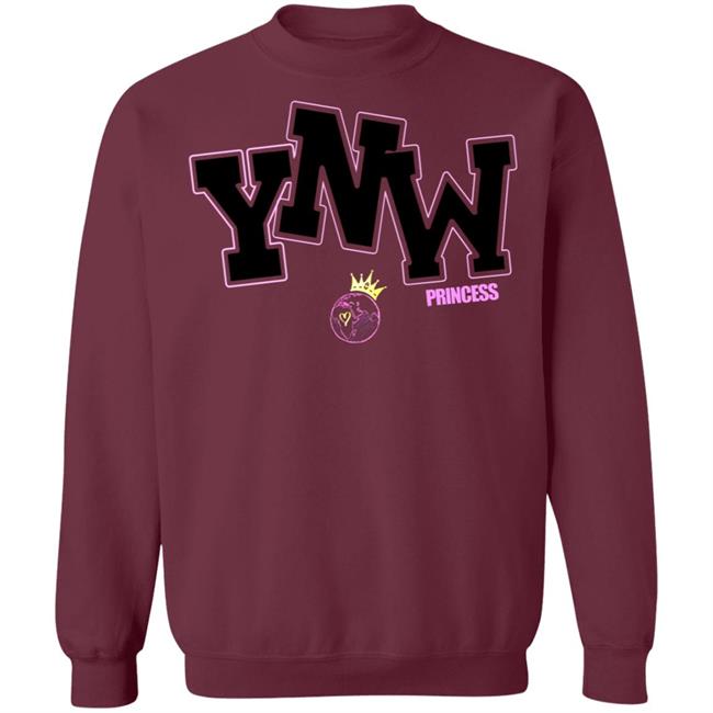 Ynw Embroidered Princess Hoodie 100 Gecs Thehyv 100 Gecs Thehyv Merch Ynw Embroidered Princess Hoodie 100 Gecs Thehyv 100 Gecs Thehyv Merch