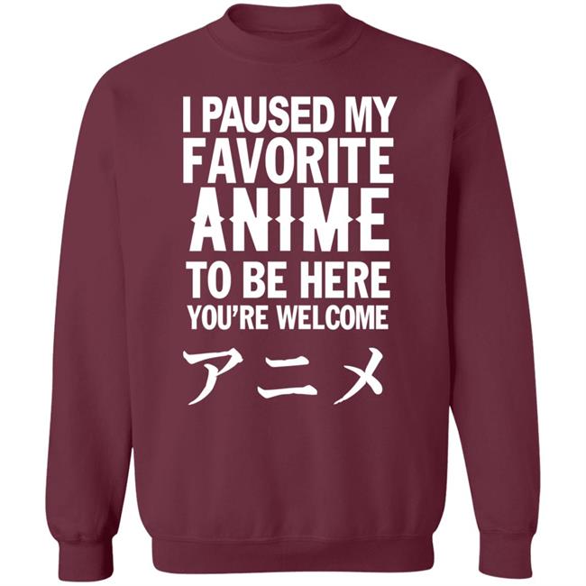 I Paused My Favorite Anime Hoodie I Paused My Favorite Anime To Be Here You're Welcome T Shirt I Paused My Favorite Anime Hoodie I Paused My Favorite Anime To Be Here You're Welcome T Shirt