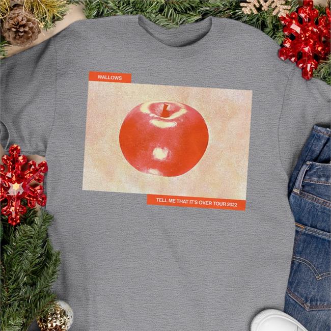 Wallows Tell Me That It's Over Tour 2022 T Shirt