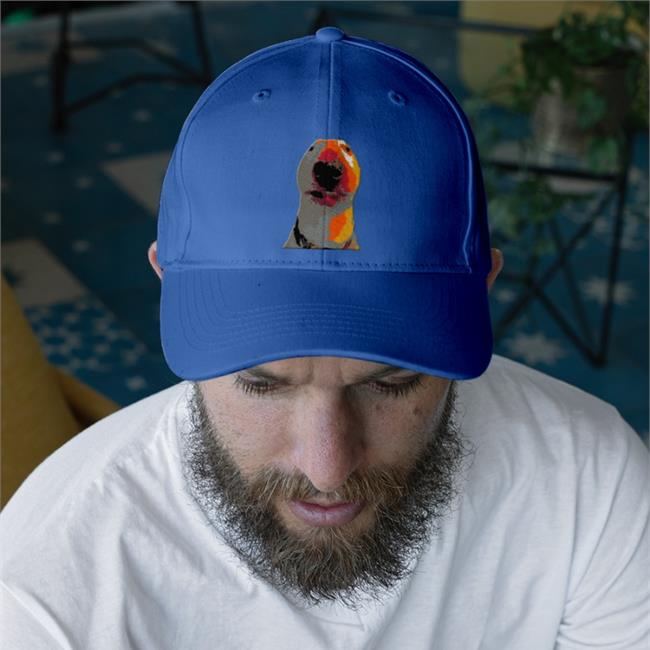 Walter Meme Dog Embroidered Hat