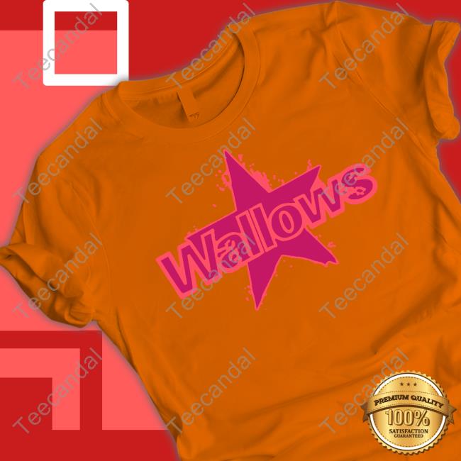 Wallows Star Shirts