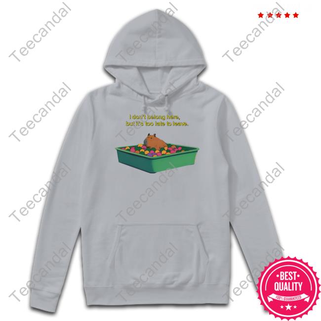 I Don't Belong Here But It's Too Late To Leave Hoodie