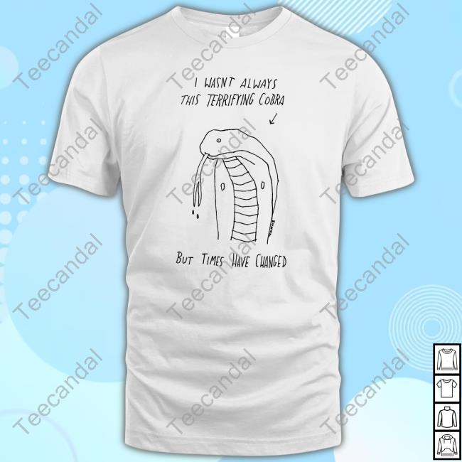 Reallygoodartist I Wasnt Always This Terrifying Cobra But Times Have Changed Hooded Sweatshirt