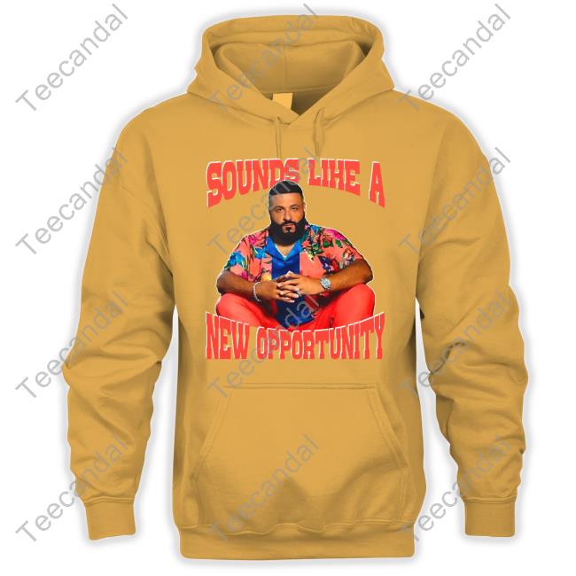 Sounds Like A New Opportunity Dj Khaled Hoodie