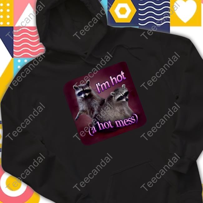 Snazzy Seagull I'm Hot A Hot Mess Raccoon Long Sleeve T Shirt