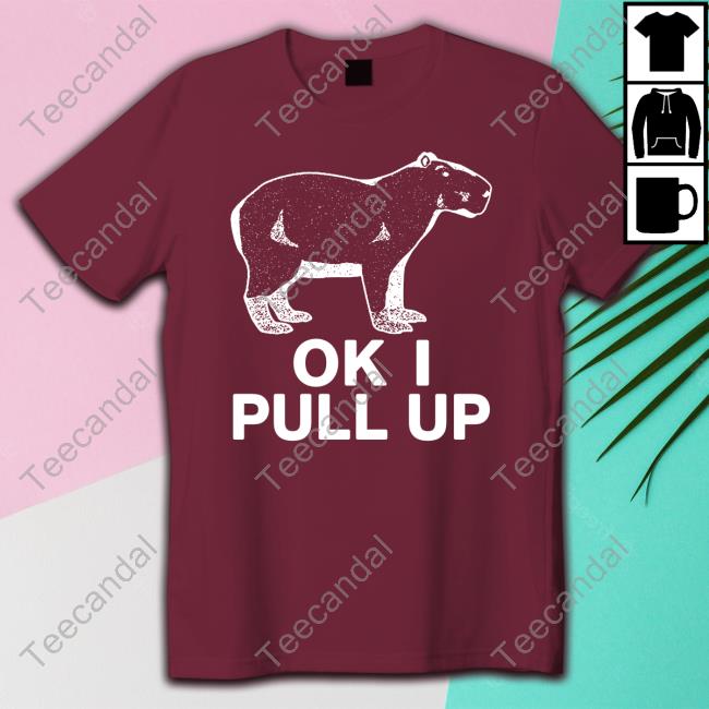 Capybaraman Ok I Pull Up T Shirt
