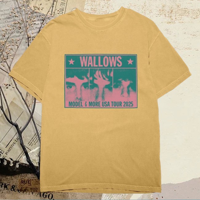 Wallows Merch Colorblock Faces Funny Shirt