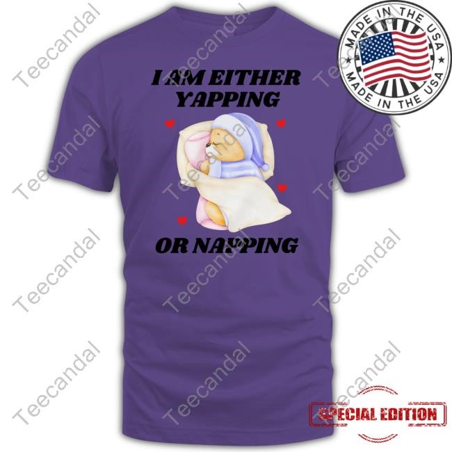 I Am Either Yapping Or Napping Bear T-Shirt