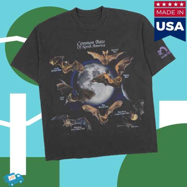 Common Bats Of North America Spotted Shirt Online Ceramics Merch Store Shop Common Bats